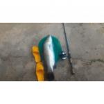Bộ cần câu lure conquest kèm máy 2000 full kim loại