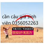 Cần Câu tay 5h câu 3 độ dài DIAO SHI Đài Loan