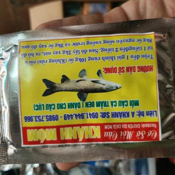 thính câu lục trắm đen truyền thống Khánh Móm