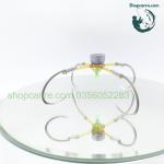 Lưỡi câu lục Tam tứ lò xo AK săn hàng