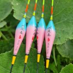 Phao câu lửng câu trắm đen chép trắm cỏ