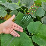 Phao hố đấu câu ngày đêm đèn siêu sáng