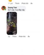 thính câu lục câu cá trắm đen chép sc1 sc2 sc4