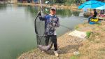 thính câu lục câu cá trắm đen chép sc1 sc2 sc4